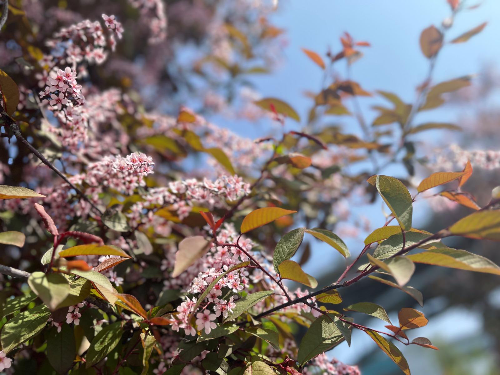 Фото Скорость мобильного интернета на Михайловской набережной выросла к началу летнего сезона 2